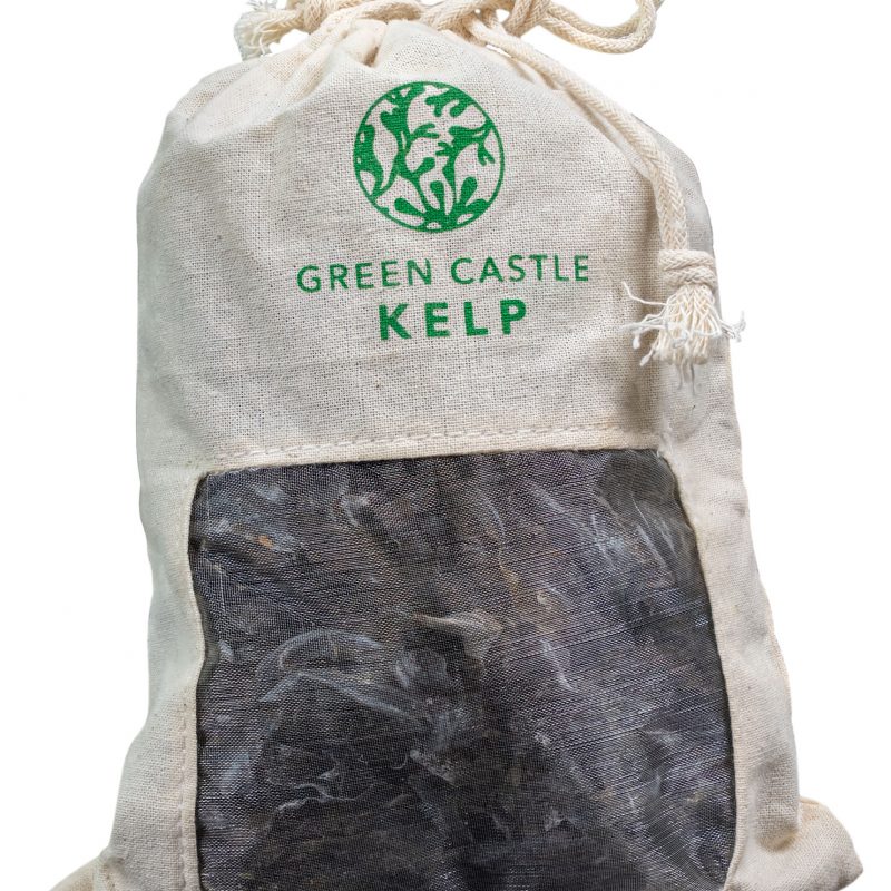 Single-Cutout seaweed bag-Green Castle Kelp